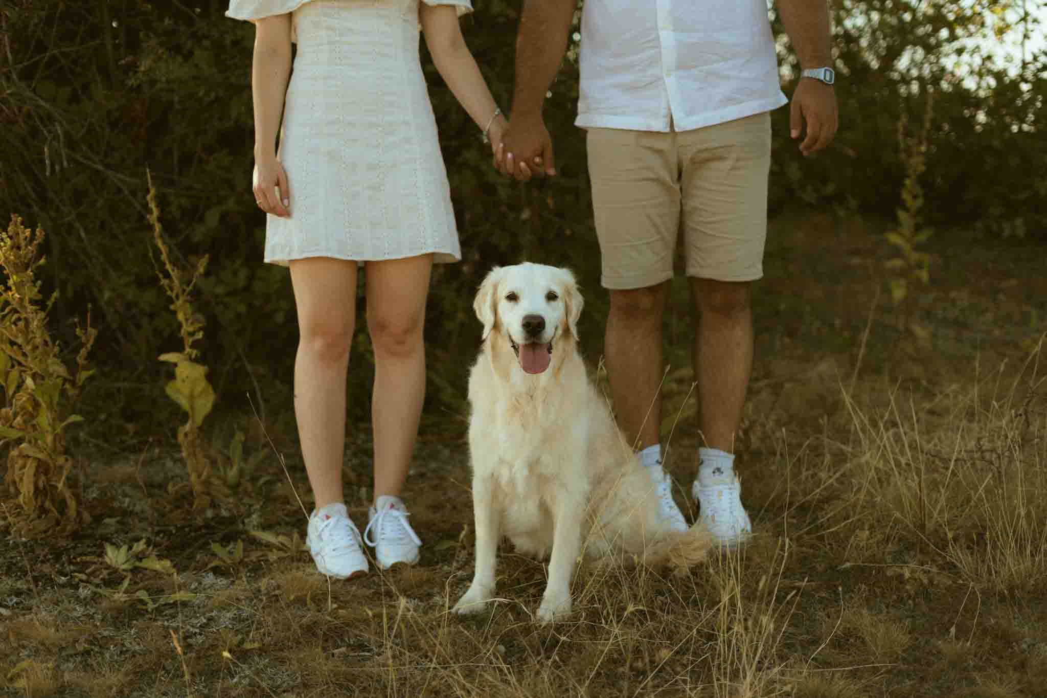 Postcard from Panni and Kristóf